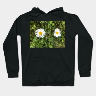 Two Daisies in the Meadow Hoodie